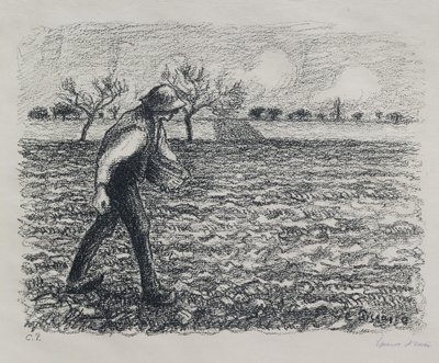 Sämann, 1896 von Camille Jacob Pissarro